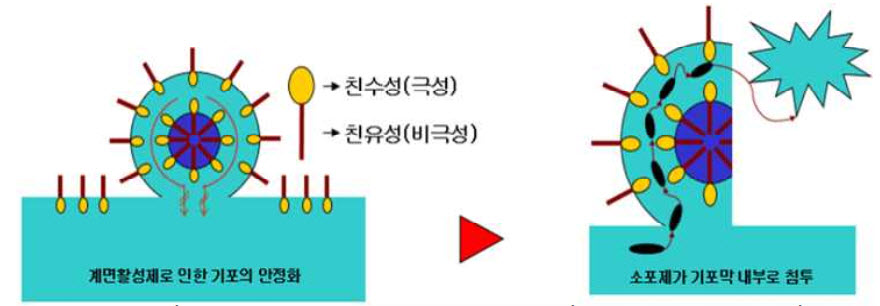 Công nghệ sản xuất chất chống sủi, hợp chất hóa học thân thiện với môi trường